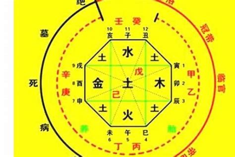 2024年 八字|生辰八字算命、五行喜用神查詢（免費測算）